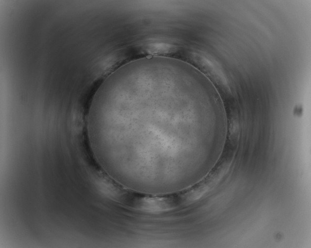 X0000102860367200808181447