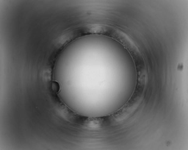 X0000102860368200808181447