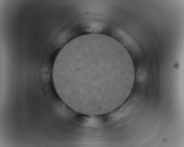 X0000102860370200808181447