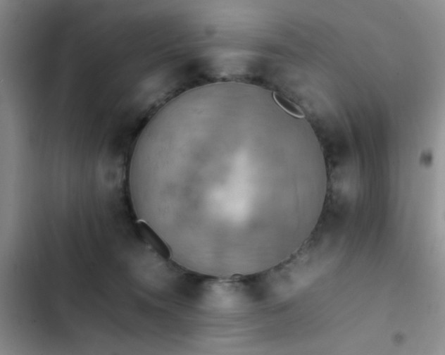 X0000102860372200808181447