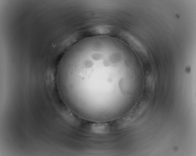 X0000102860373200808181447