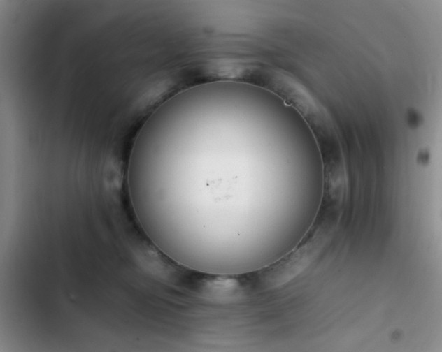 X0000102860374200808181447