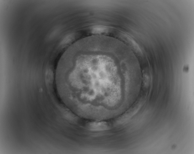 X0000102860375200808181447