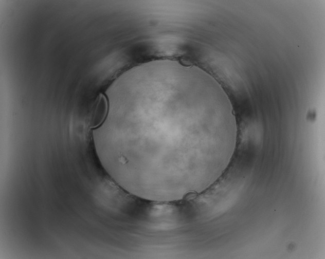 X0000102860376200808181447