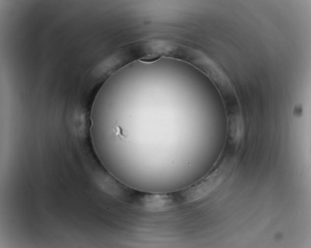 X0000102860378200808181447