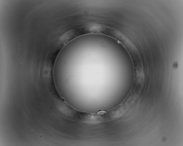 X0000102860379200808181447