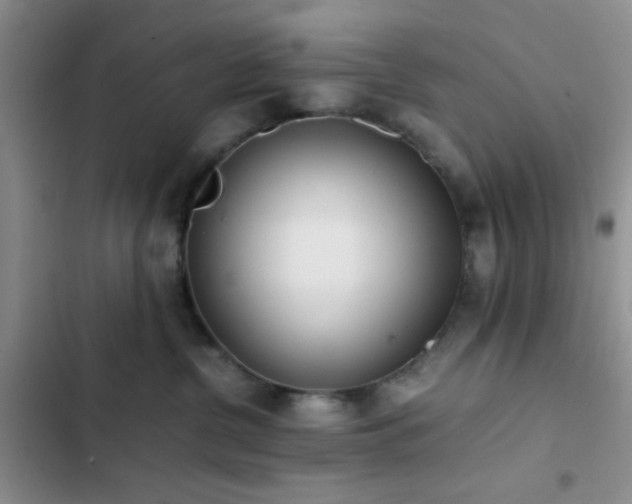 X0000102860380200808181447