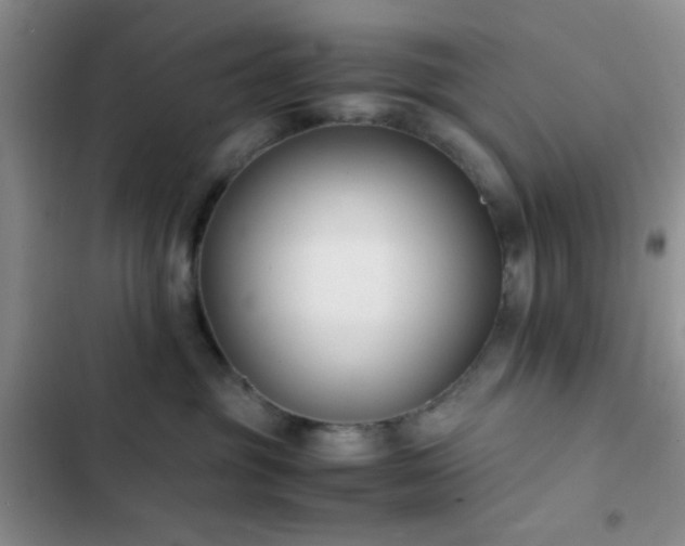 X0000102860381200808181447