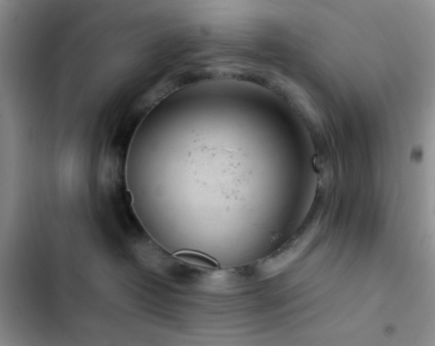 X0000102860382200808181447