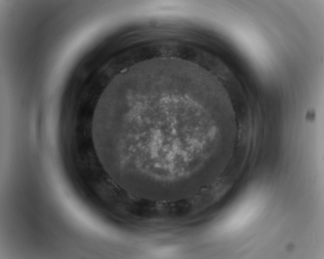 X0000102860383200808181447