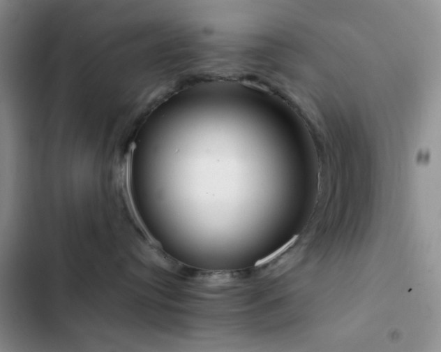 X0000102860384200808181447