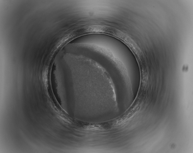 X0000102860386200808181447