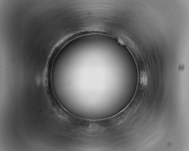 X0000102860388200808181446