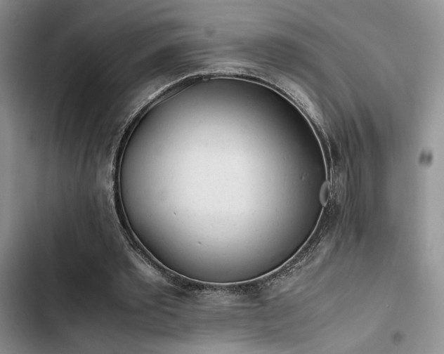 X0000102860389200808181446