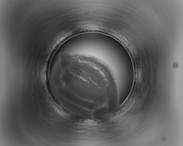 X0000102860390200808181446