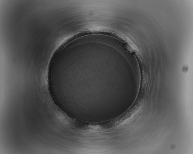 X0000102860391200808181446