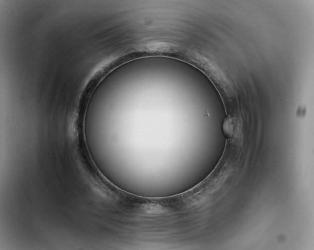 X0000102860392200808181446