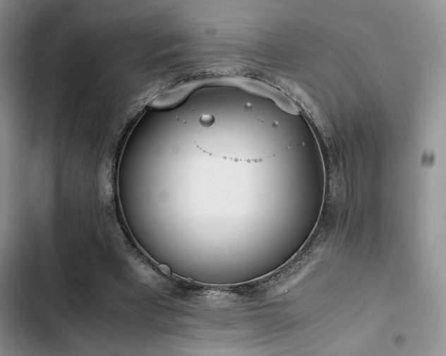 X0000102860393200808181446