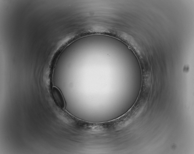 X0000102860395200808181446