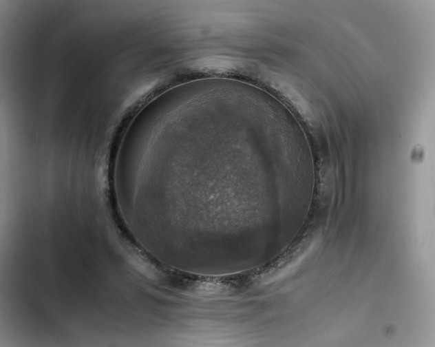 X0000102860399200808181446