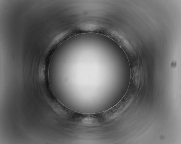 X0000102860400200808181446