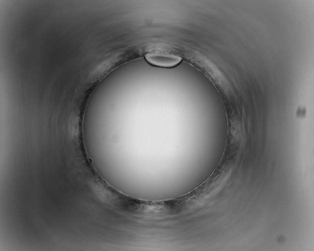 X0000102860401200808181446