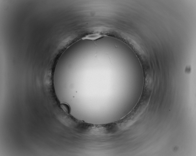 X0000102860403200808181446