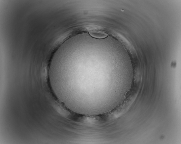 X0000102860405200808181446