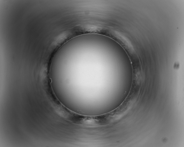 X0000102860407200808181446