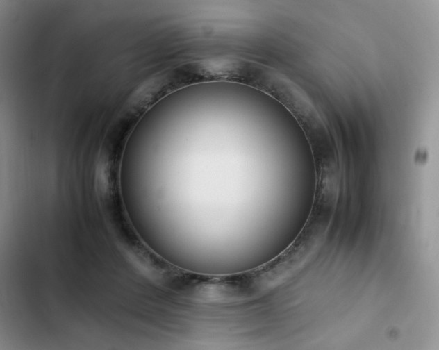 X0000102860408200808181446