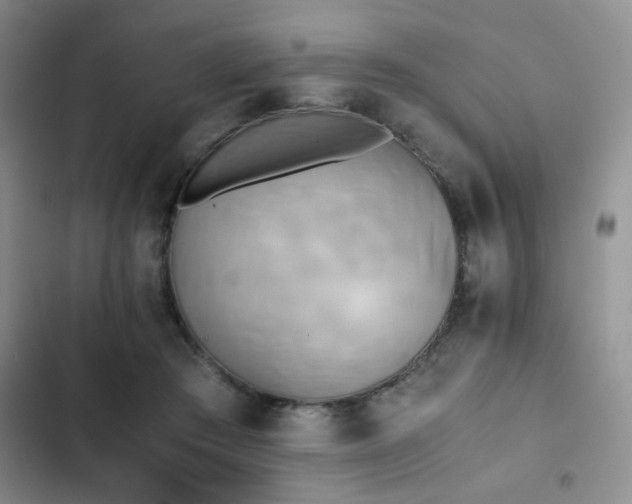 X0000102860409200808181446