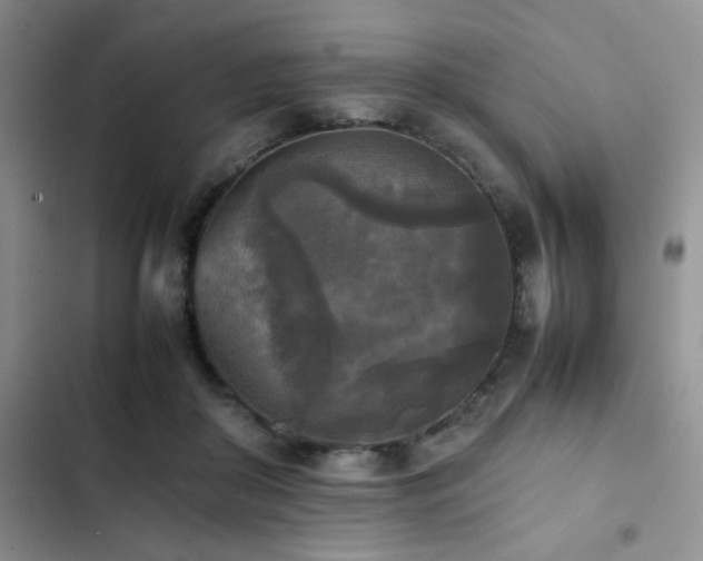 X0000102860410200808181446