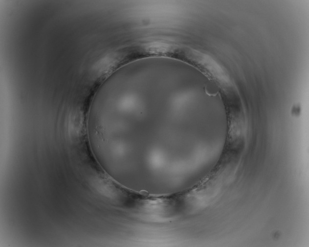 X0000102860411200808181446