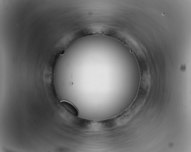 X0000102860413200808181446