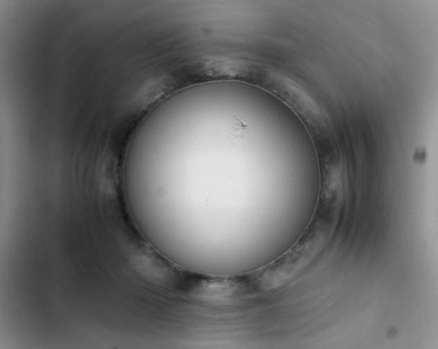 X0000102860414200808181446