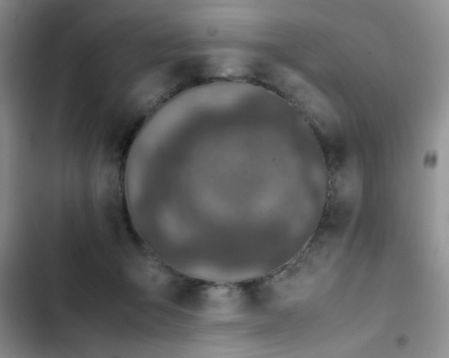 X0000102860415200808181446