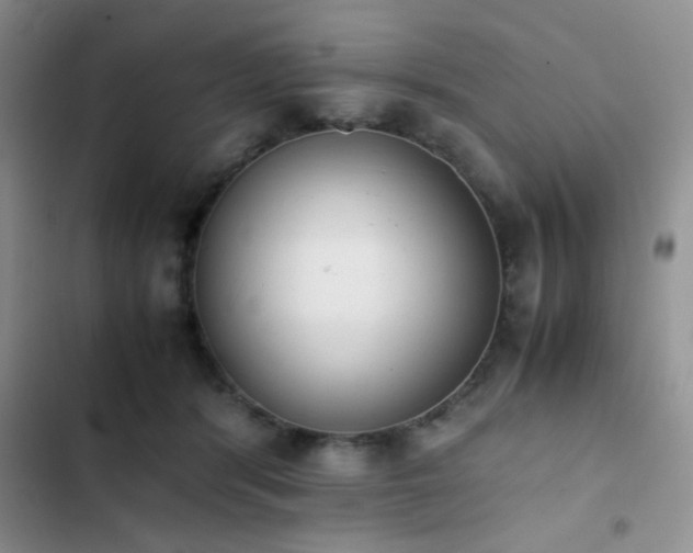 X0000102860416200808181446