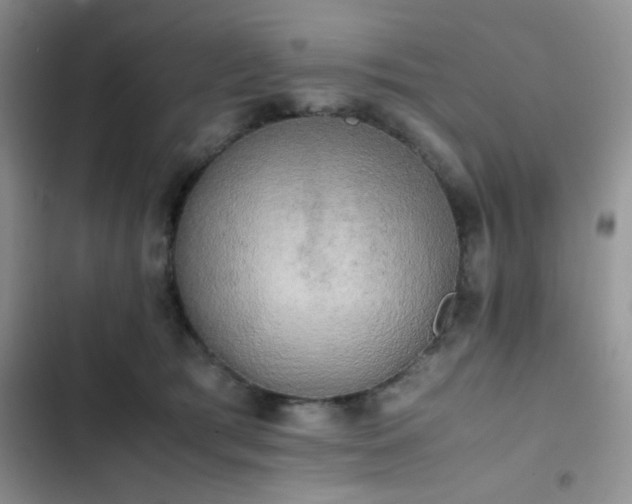 X0000102860417200808181446