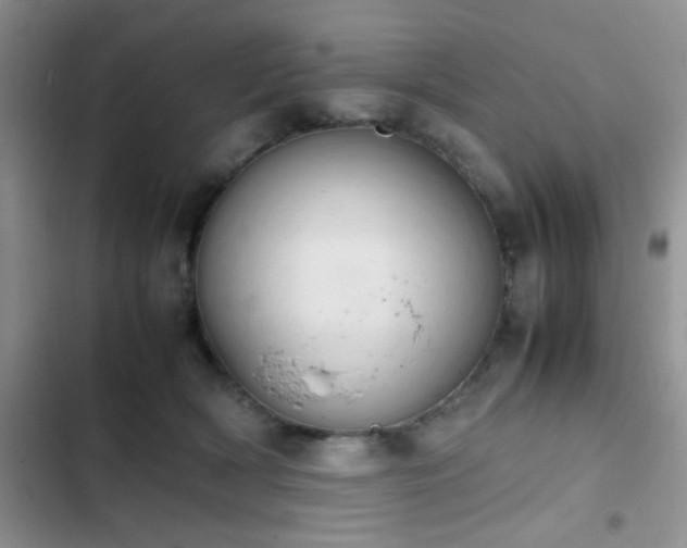 X0000102860418200808181446