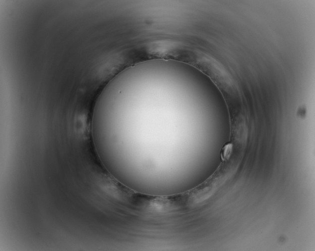 X0000102860420200808181446