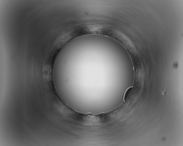 X0000102860421200808181446