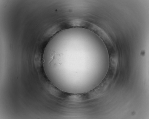 X0000102860422200808181446