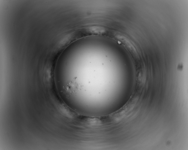 X0000102860424200808181446