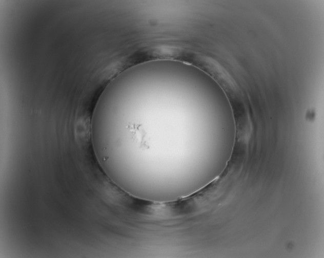 X0000102860425200808181446