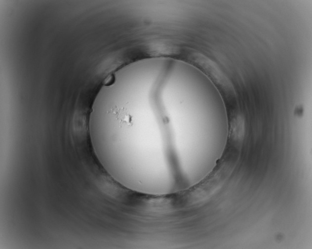 X0000102860426200808181446