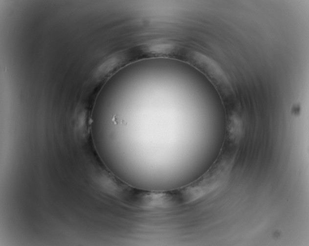 X0000102860428200808181446