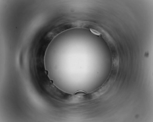 X0000102860429200808181446