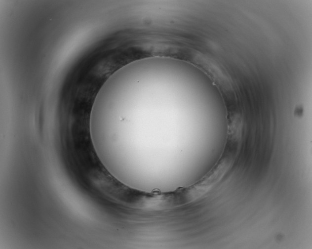 X0000102860430200808181446