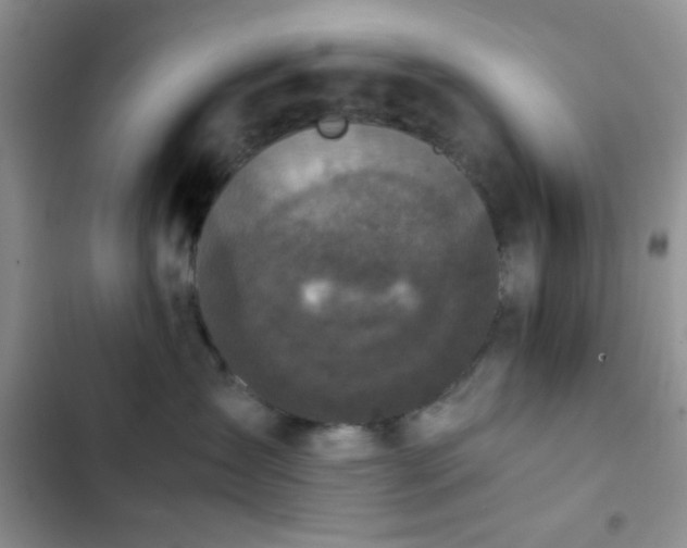 X0000102860431200808181446