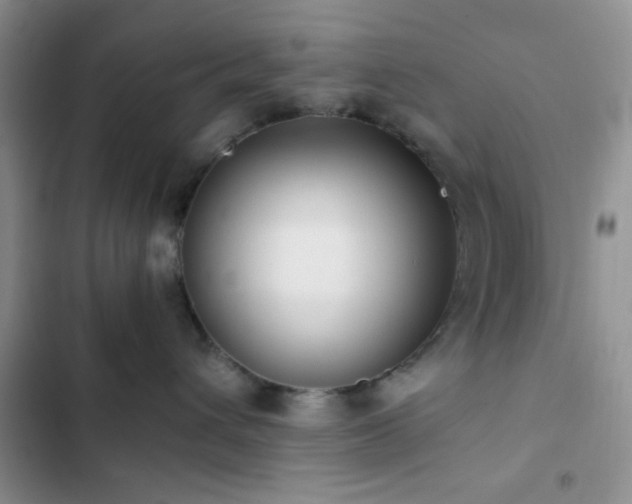 X0000102860432200808181446